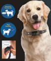 Collar eléctrico para perros - Collar de entrenamiento inteligente con inteligencia artificial para perros que no ladran (grabación de voz)