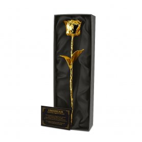 Zlatá růže 24k (pozlacená) - dokonalý dárek pro ženu