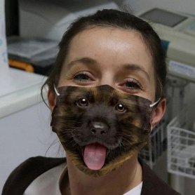 WOLFHOUND - stampa 3D di maschere facciali di animali