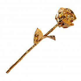 Gold rose 24k golden platted (dipped) -den perfekte gaven til en kvinne
