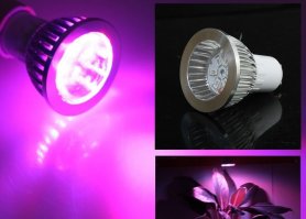 LED-pære 7W - belysning til planter