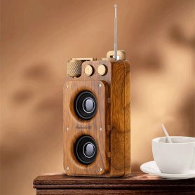 Tragbares Mini-Retro-Vintage-Radio mit Bluetooth + FM/AM-Radio/AUX/USB-Festplatte/Micro-SD