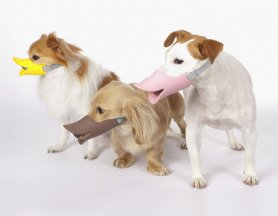 Quack - Kačací ochranný náhubok pre psov