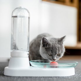 Cats vannfontene - automatisk drikkevannstank (dispenser) med anti-skli pute