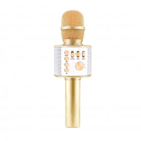 Bluetooth mikrofon és hangszóró 5W - vezeték nélküli mikrofon partihoz