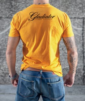 Gladiator - Hasser, die gehen zu hassen T-Shirt - Gold