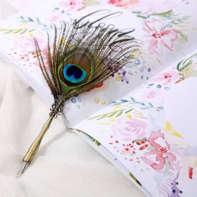 Plume de plume de paon - stylo historique de luxe dans un emballage cadeau + 5 plumes