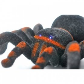 Spider tarantula med fjernbetjeningen