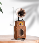 Drevené rádio - retro rádio vintage fonograf s Bluetooth + FM/AM / AUX / USB disk / Micro SD