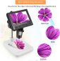 Digital microscope with camera and 4,3" display for PC + LED light with 50-1000x magnification