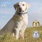 Dog gps collar in bell - mini gps locator for dogs / cats / animals with Wifi and LBS tracking - IP67