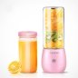 Smoothie Mixer Maker tragbarer Mixer Mini mit USB - Volumen 450ml