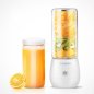 Smoothie Mixer Maker tragbarer Mixer Mini mit USB - Volumen 450ml