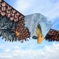 Drachen steigen lassen - Adler Vogel Drachen für Kinder 3D groß XXL 186 cm