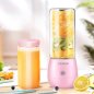 Smoothie mixer maker portable blender mini with USB - volume 450ml