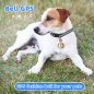 Dog gps collar in bell - mini gps locator for dogs / cats / animals with Wifi and LBS tracking - IP67