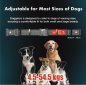 Collar eléctrico para perros - Collar de entrenamiento inteligente con inteligencia artificial para perros que no ladran (grabación de voz)